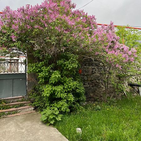 Soso Burduli'S Guesthouse Stepantsminda Exterior photo