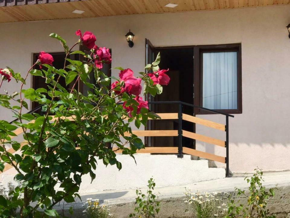 Soso Burduli'S Guesthouse Stepantsminda Exterior photo